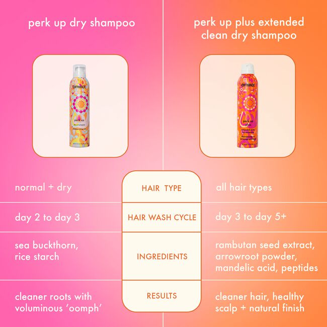 Perk Up Plus Extended Clean Dry Shampoo