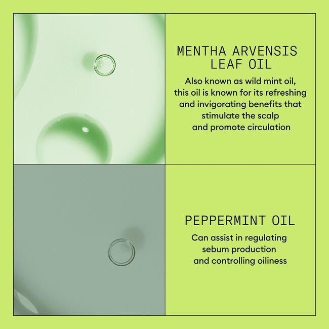 System 2 Scalp Therapy Conditioner