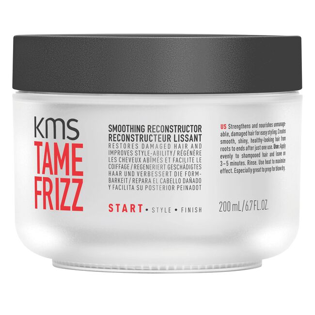 TAMEFRIZZ Smoothing Reconstructor
