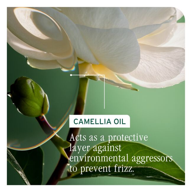 SmoothProof Serum for Frizzy Hair