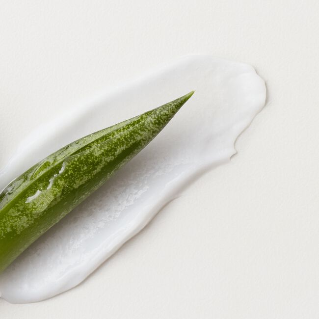 Fast Food Leave On Conditioner