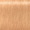 9.5-74 Apricot Blush