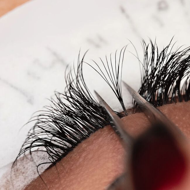 O.G. Lashes: Pre-Made Fans 4D CC 0.05 7mm, 8mm, 9mm