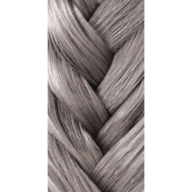 Artistic Toner Silver Demi-Permanent Cream Hair Color