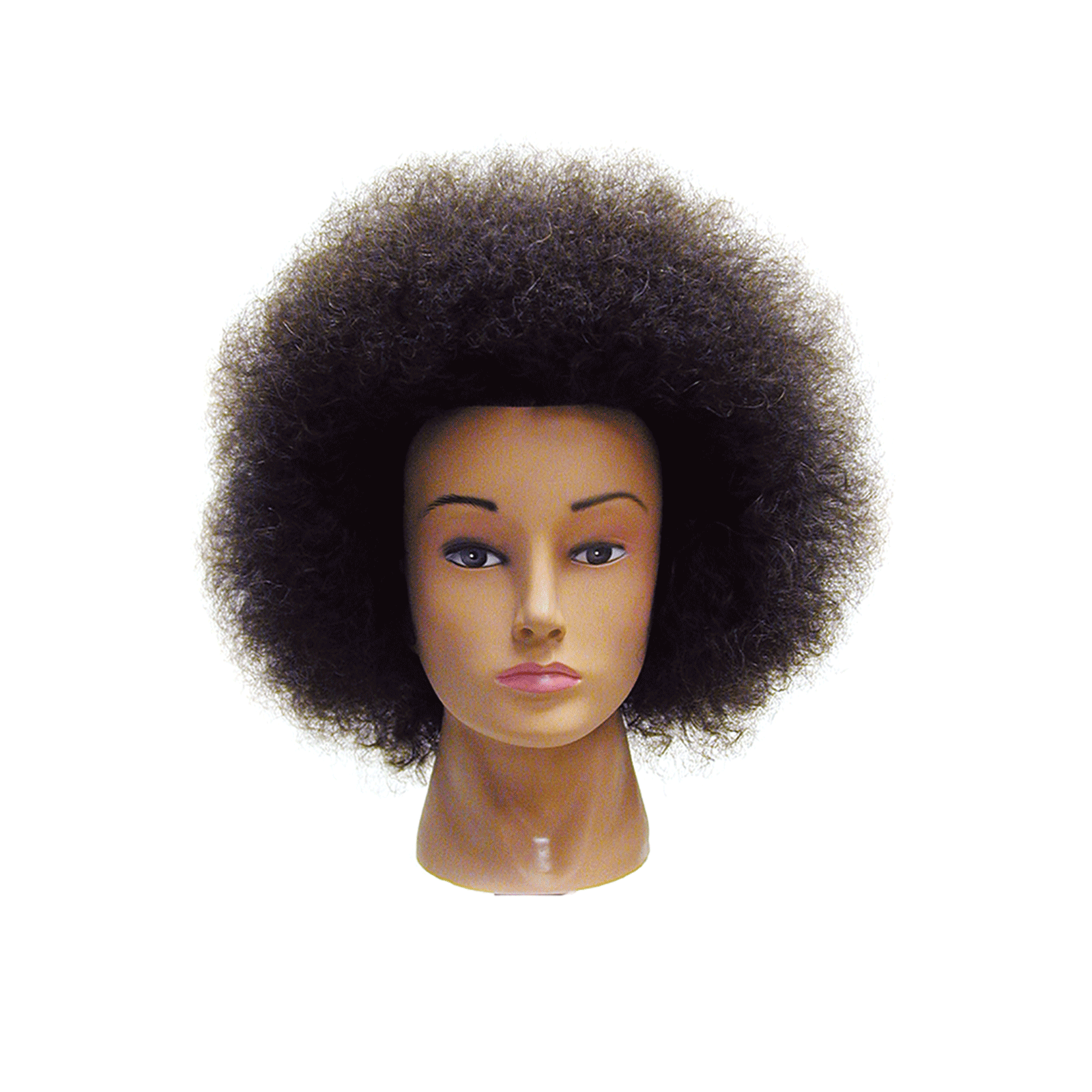 afro textured mannequin head