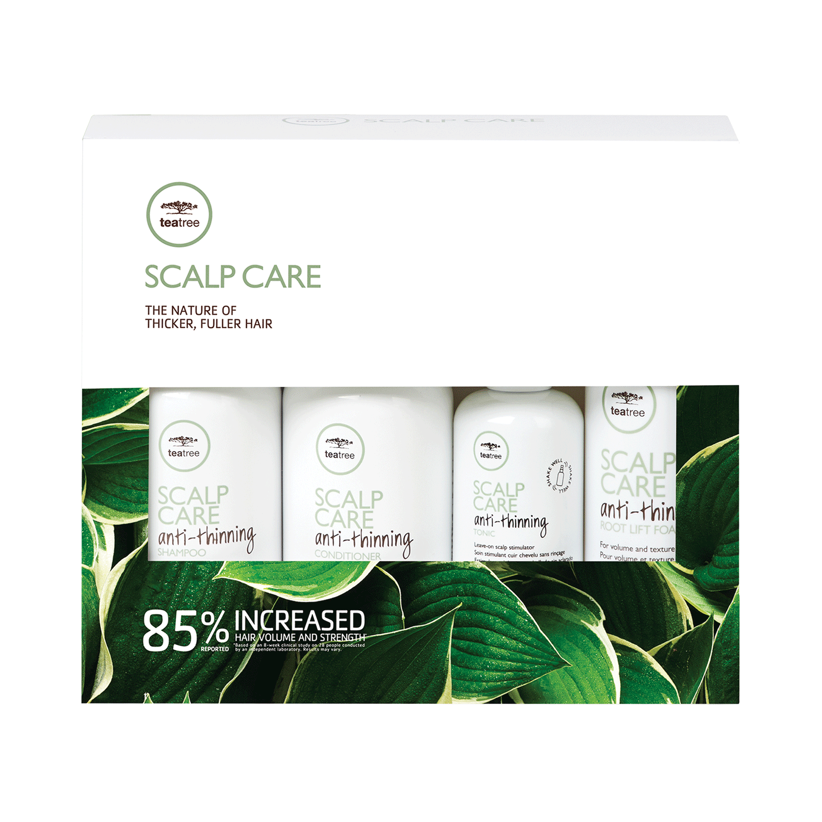 Scalp Care Anti Thinning Stylist Kit John Paul Mitchell Systems